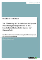 Die Förderung der beruflichen Integration benachteiligter Jugendlicher in der Sonderberufsfachschule. Exposé zur Masterarbeit