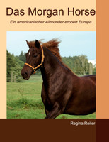 Das Morgan Horse