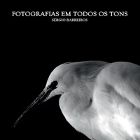 Fotografias Em Todos Os Tons