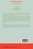 Finslerian Geometries