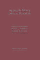 Aggregate Money Demand Functions