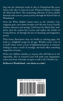Alice In Limerick Land
