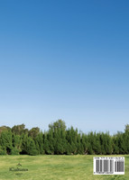Mausoleum Stone Carvings of China's Southern Dynasties