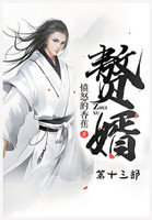 赘婿：第十三部
