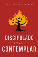 Discipulado Comienza al Contemplar