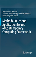Methodologies and Application Issues of Contemporary Computing Framework