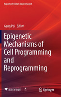 Epigenetic Mechanisms of Cell Programming and Reprogramming
