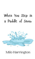 When You Step in a Puddle of Snow