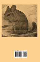 Raising Chinchillas For Profit