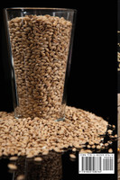 BIÈRE MAISON LIVRE DE RECETTES