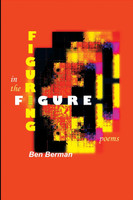 Figuring in the Figure