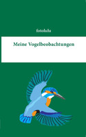 Meine Vogelbeobachtungen
