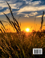 Begin Your Day with a Smile / एक मुस्कान के साथ अपने दिन की शुरुआत करें