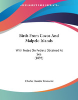 Birds From Cocos And Malpelo Islands