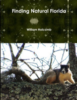 Finding Natural Florida