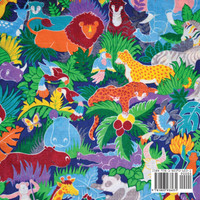I Spy Zoo Animals Book For Kids