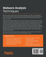 Malware Analysis Techniques