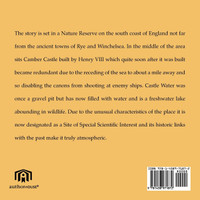 The Ghost of Camber Castle