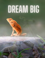 Dream Big Notebook