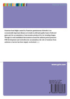 Factors Affecting Fusarium Head Blight Development and Trichothecene Accumulation in Fusarium-infected Wheat Heads