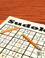 Very Hard Sudoku Puzzle Book for Adults