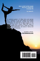 THE 12 STEP INTRO GUIDE (Recovery wisdom for everyday life)