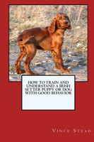 How to Train and Raise a Irish Setter Puppy or Dog with Good Behavior