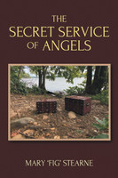 The Secret Service of Angels
