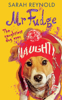 Mr Fudge