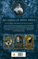 An Ocean of White Wings