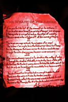 The Wrath of the Ashes