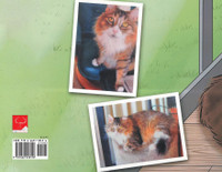 Travis the Rescue Cat