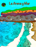 The Sand and Sea