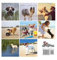 Beach Dogs, A No Text Picture Book