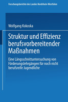 Struktur und Effizienz berufsvorbereitender Maßnahmen
