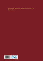 Winnetou und sein weisser Blutsbruder Old Shatterhand