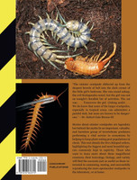 Centipedes in Captivity
