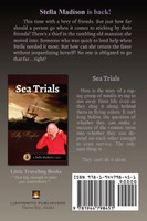 A Thief In The House