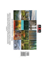 The Calm of the Forest 2025 Calendar