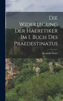 Die Widerlegung Der Haeretiker Im I. Buch Des Praedestinatus
