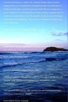 Absolute Reflections