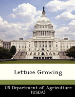 Lettuce Growing