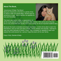 Adventures Of Beijo The Brave