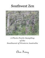 Southwest Zen