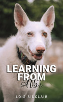 Learning from Albi