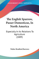 The English Sparrow, Passer Domesticus, In North America