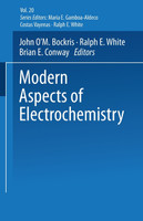 Modern Aspects of Electrochemistry No. 20