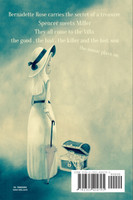 California Motel novella