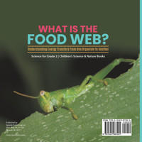 What Is the Food Web? Understanding Energy Transfers From One Organism to Another | Science for Grade 2 | Children's Science & Nature Books
