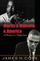 Martin & Malcolm & America